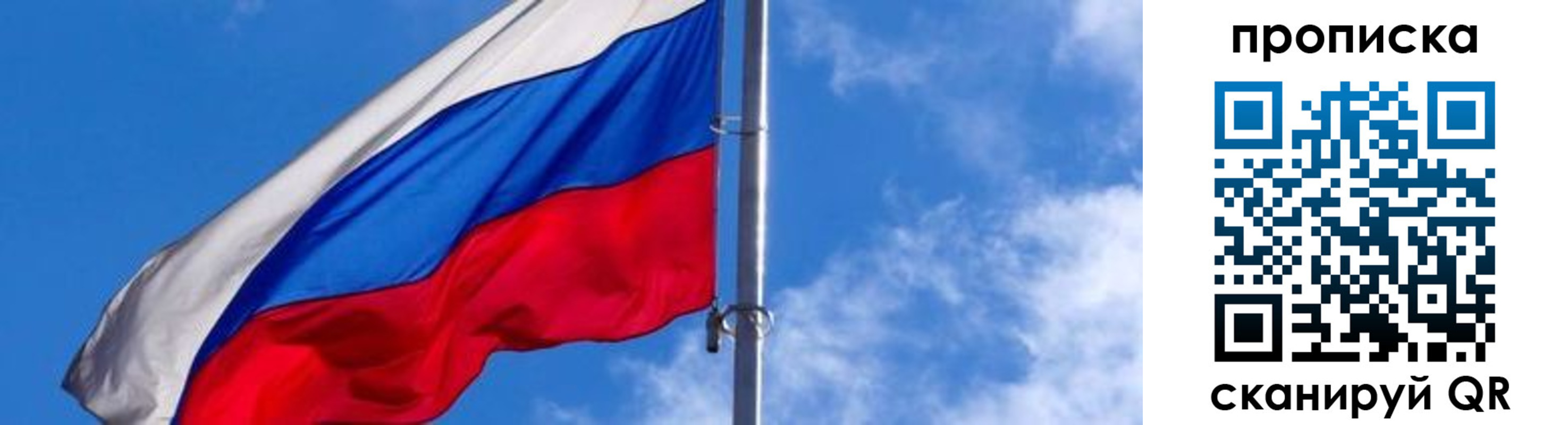 прописка поиск в Павлово